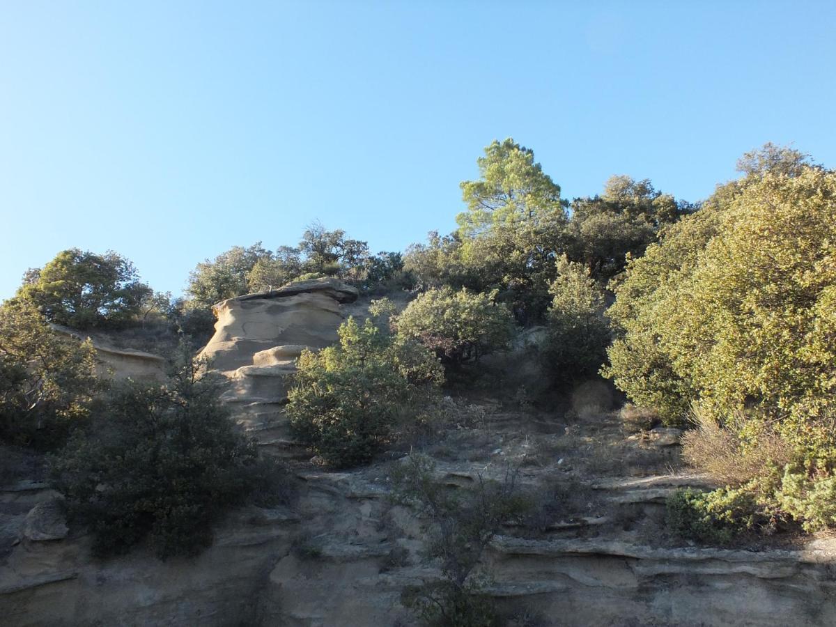 Une Ronce Sous Le Figuier Rousset-les-Vignes Εξωτερικό φωτογραφία